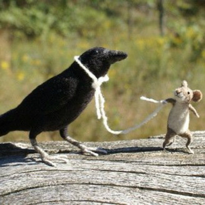 Live Session: Mouse and Crow cover