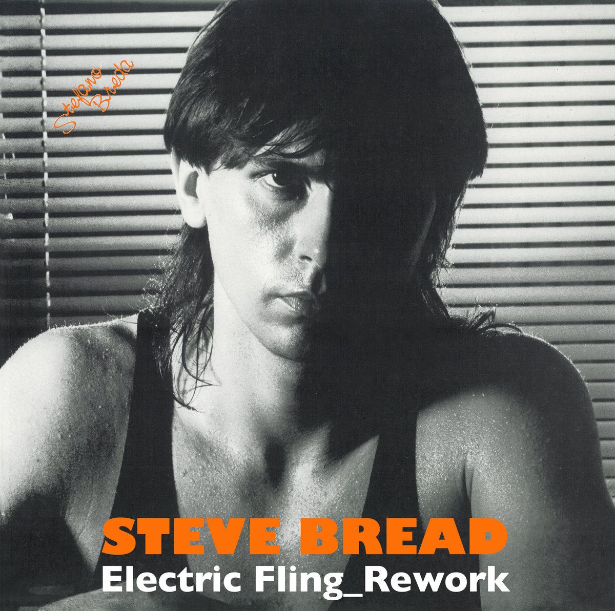 洋楽 In Flagranti - Presents: Electric Fling In Flagranti – Presents: Electric Fling – Vinyl (12