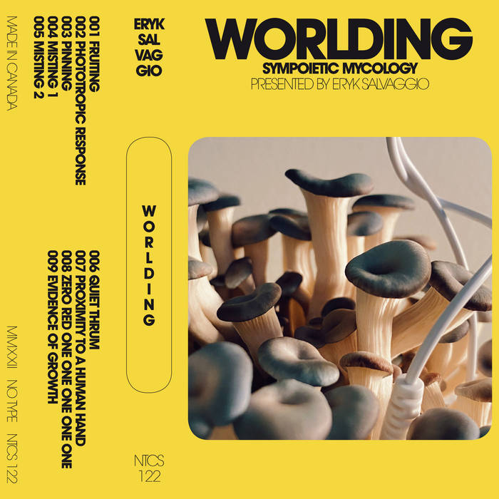 Worlding: Sympoietic Mycology | Eryk Salvaggio | No Type