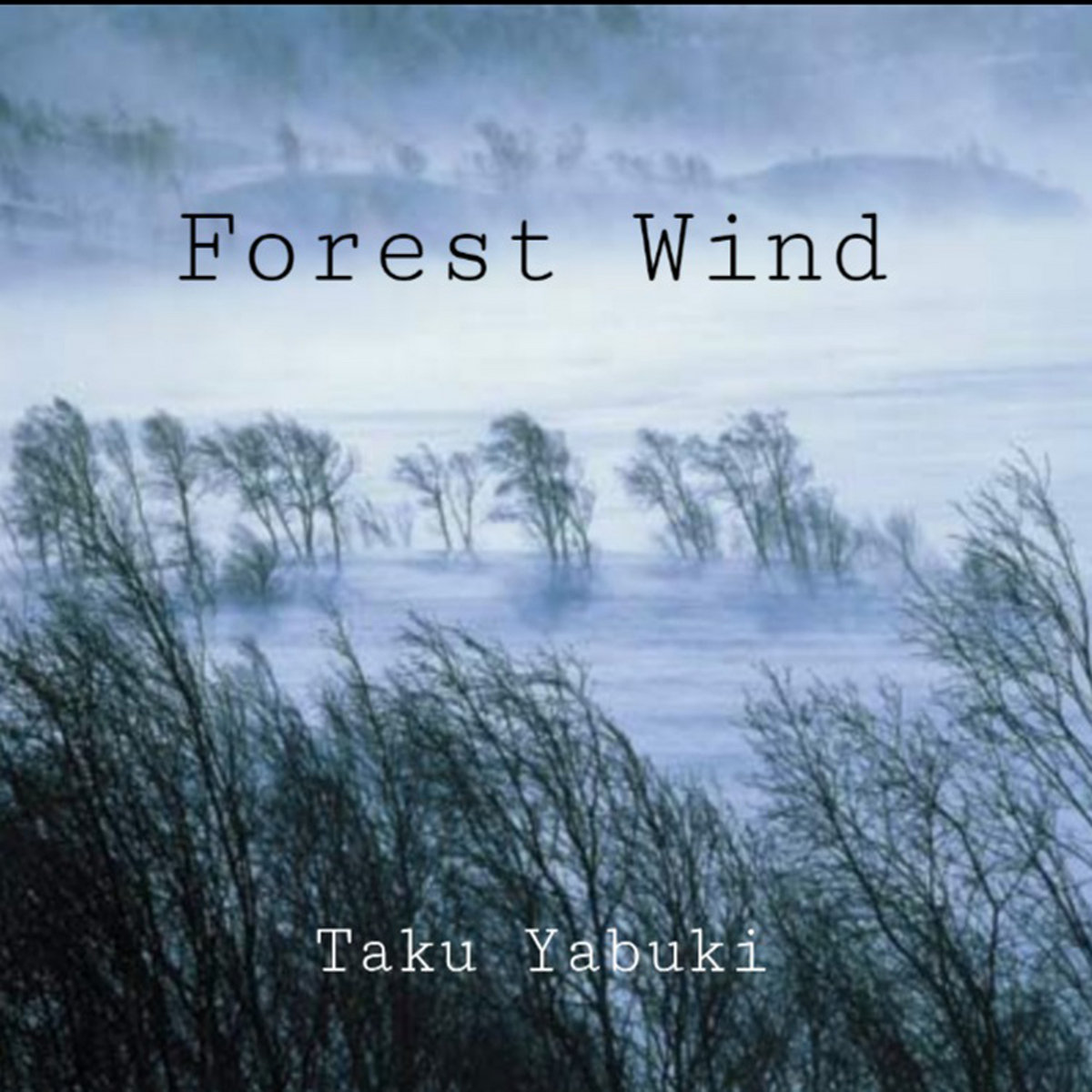 banbi(現sumika)-sound forest-
