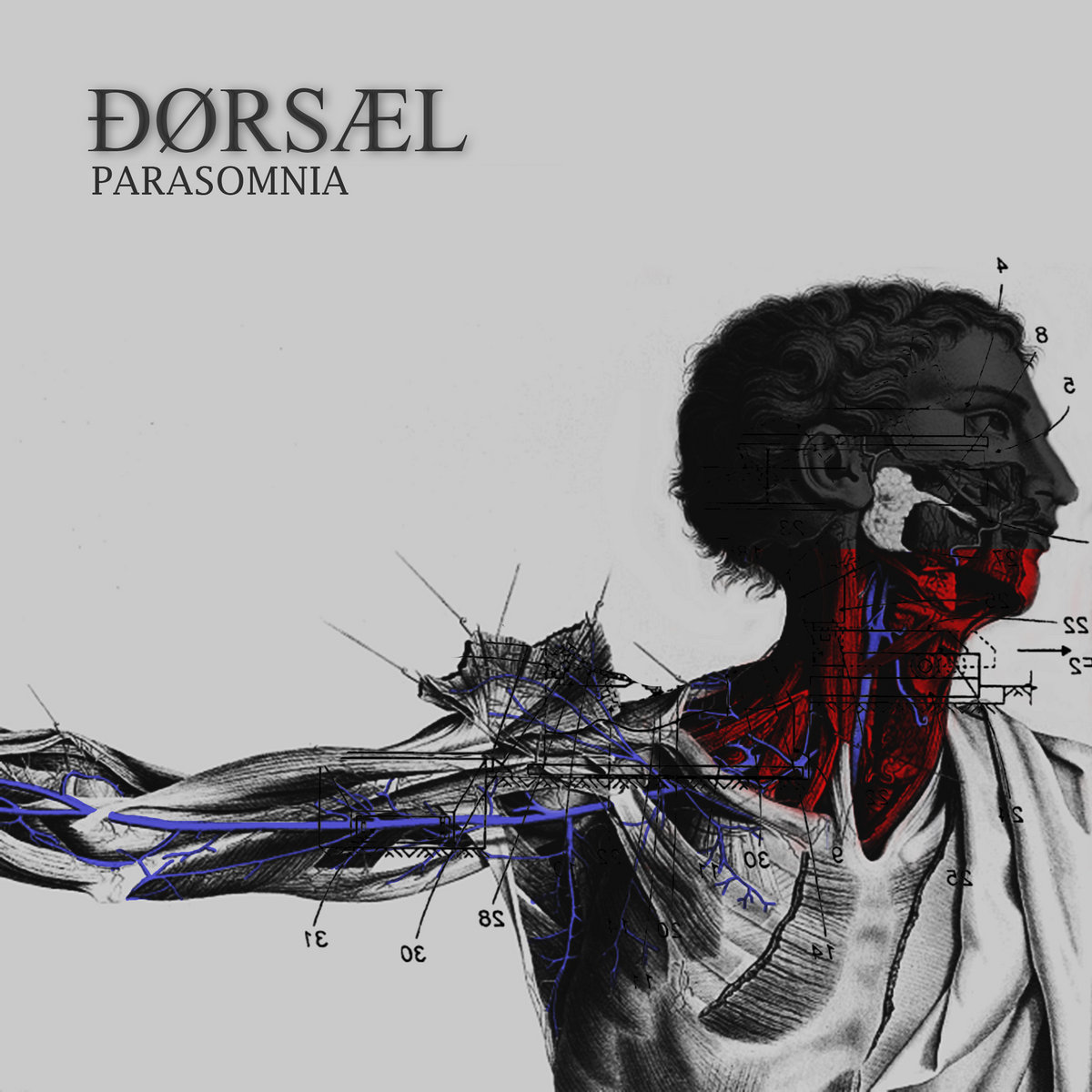 Parasomnia ÐØRSÆL O.V.N.I.