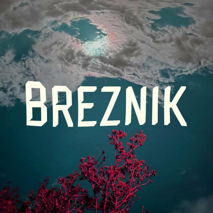 Breznik | Breznik