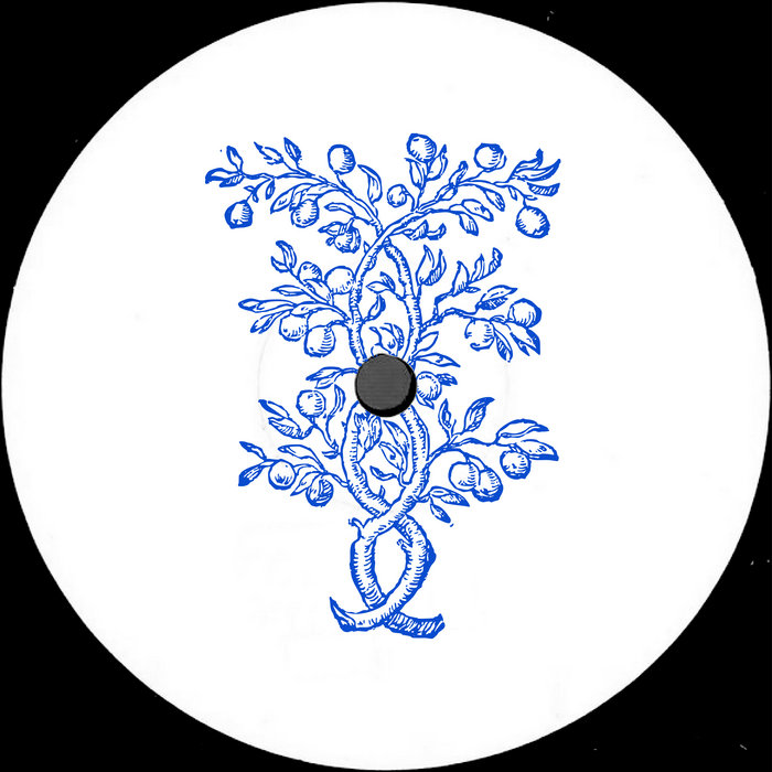 Intertwined | Maria Amor & Shcuro | Paraíso