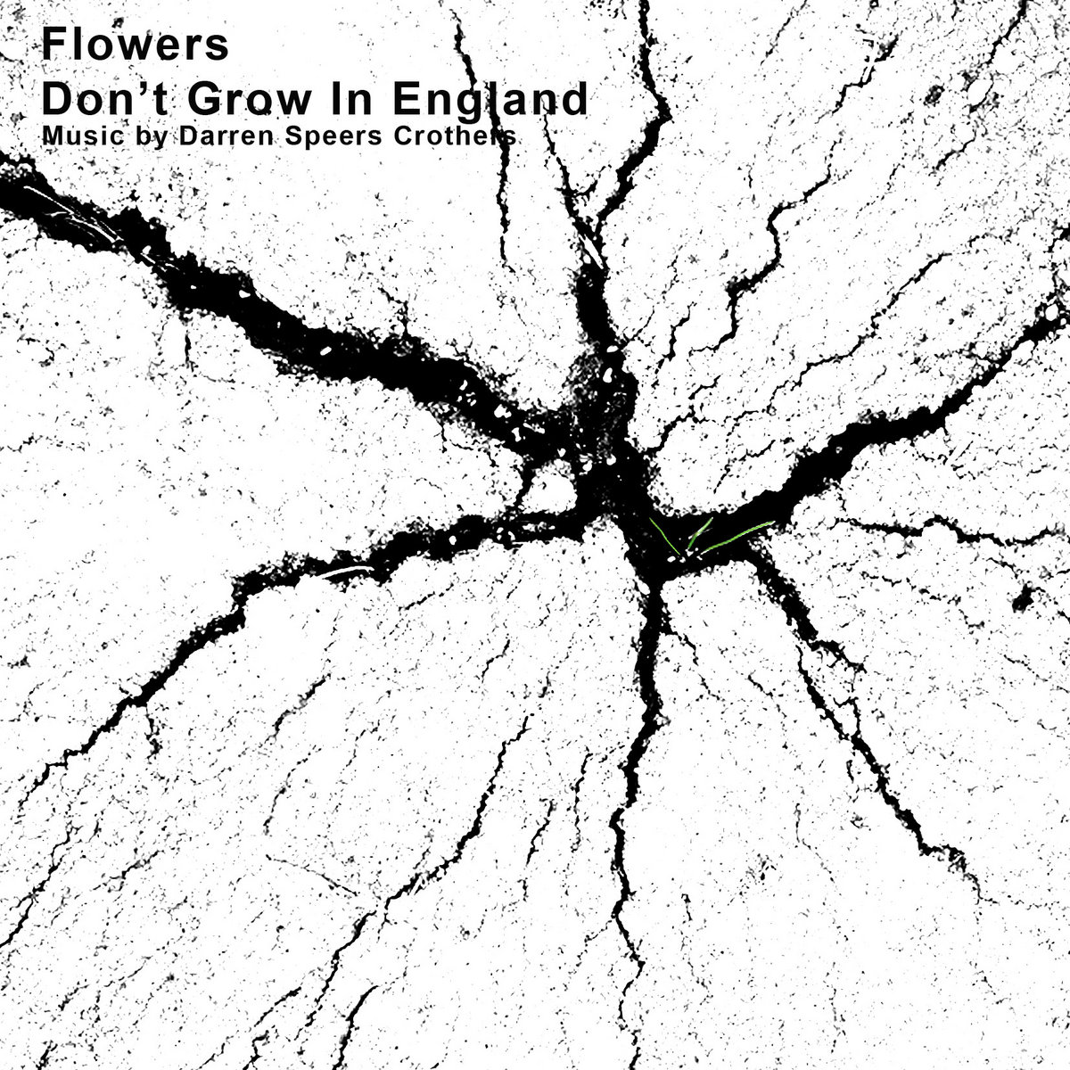 Flowers Don't Grow In England Phantom Power Recordings