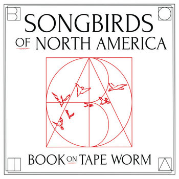 Songbirds of North America