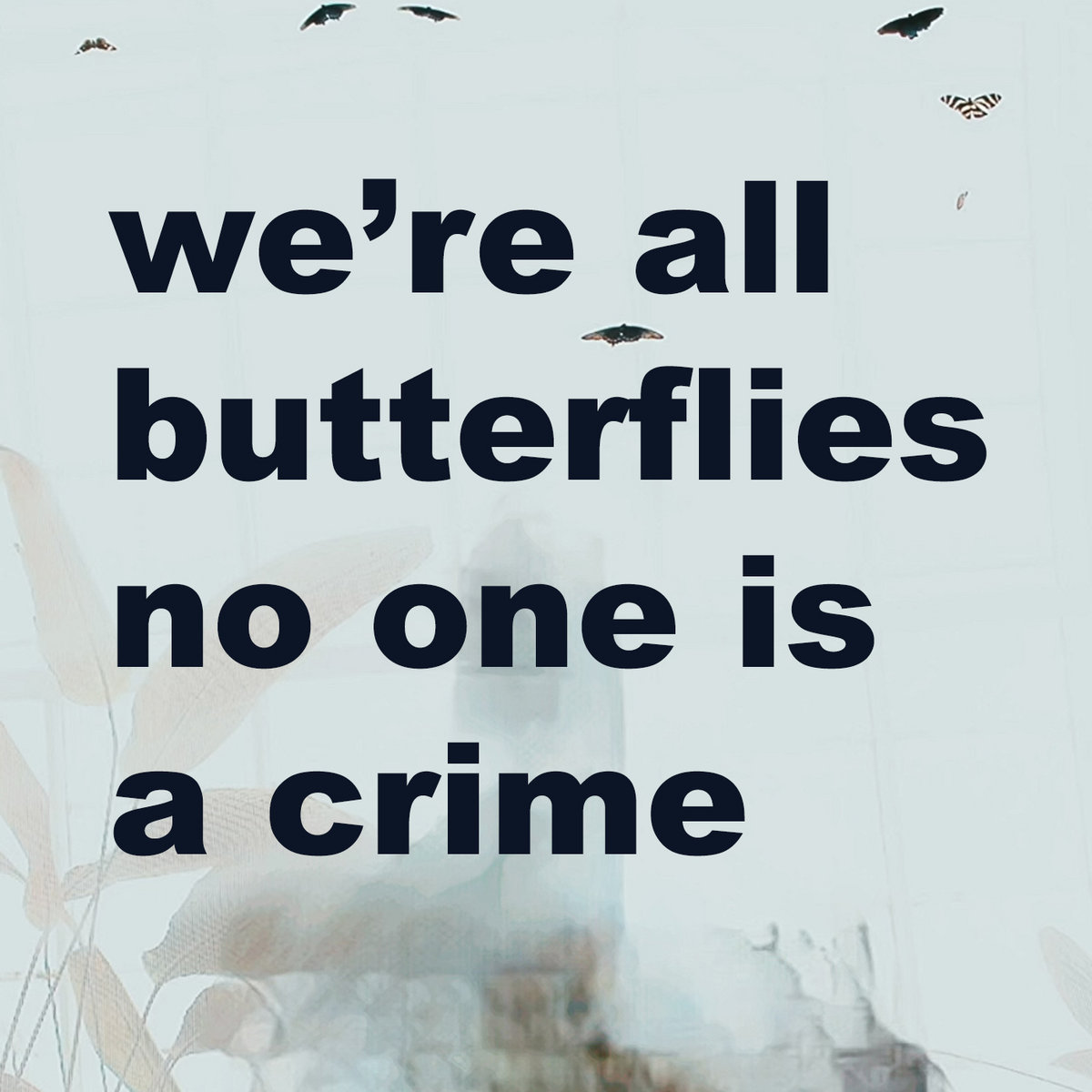 We're all butterflies no one is a crime