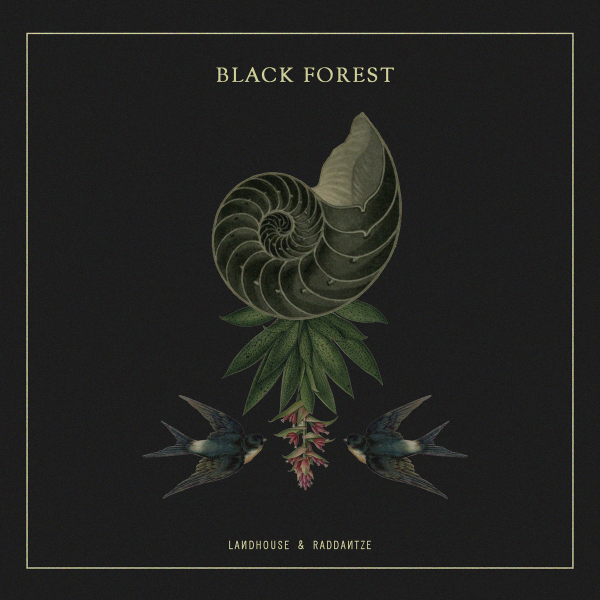 Black Forest | Landhouse & Raddantze | Random Collective Records