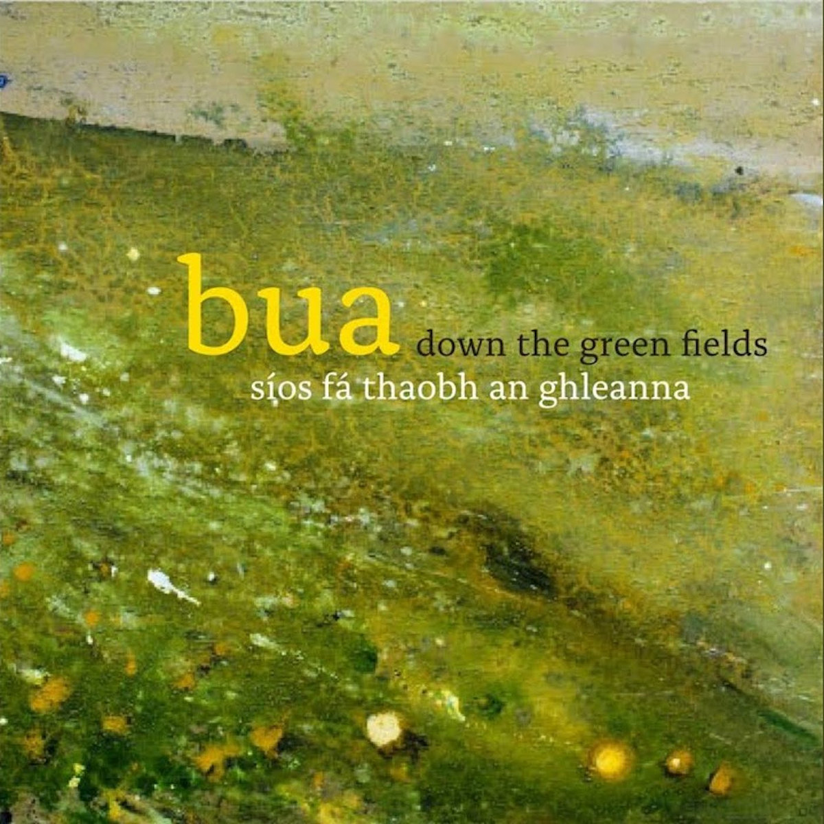 Down The Green Fields / Síos Fá Thaobh An Ghleanna | Bua, image size:1200x1200