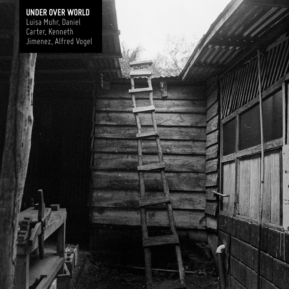 UNDER OVER WORLD — Luisa Muhr / Daniel Carter / Kenneth Jimenez / Alfred Vogel