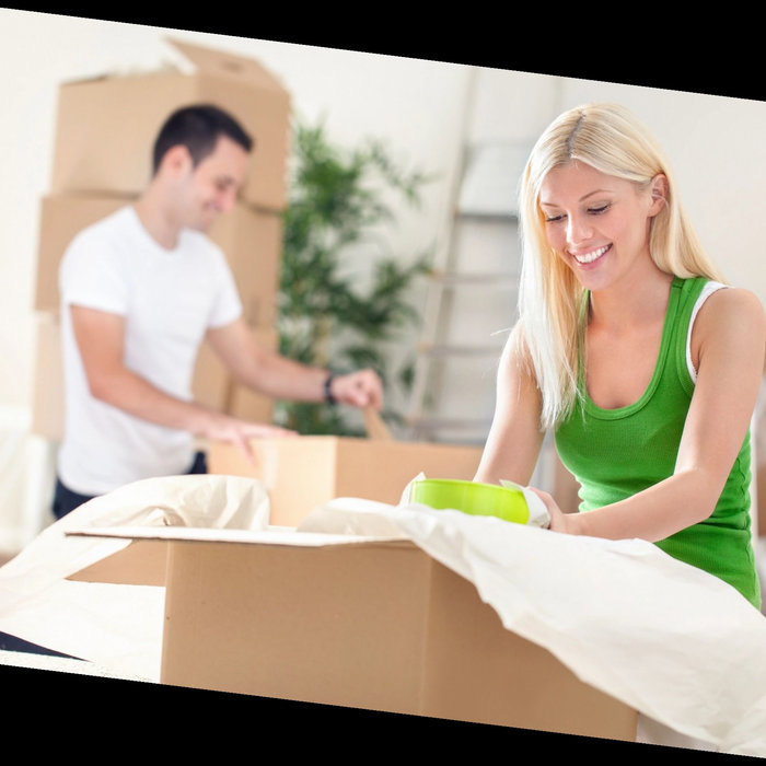 lifting straps for moving heavy items territory South Carolina