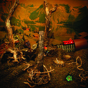 Robert Gomez — Pine Sticks and Phosphorus