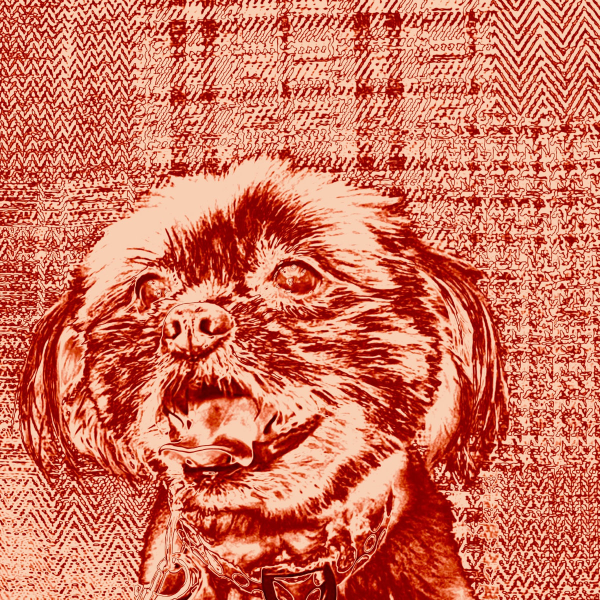 Shades of Red cover