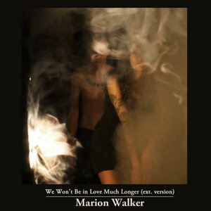 We Won't Be in Love Much Longer (ext. version) cover