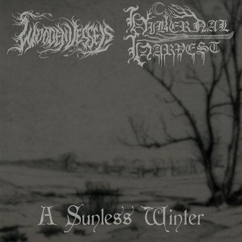 Music | Cave Bird Records