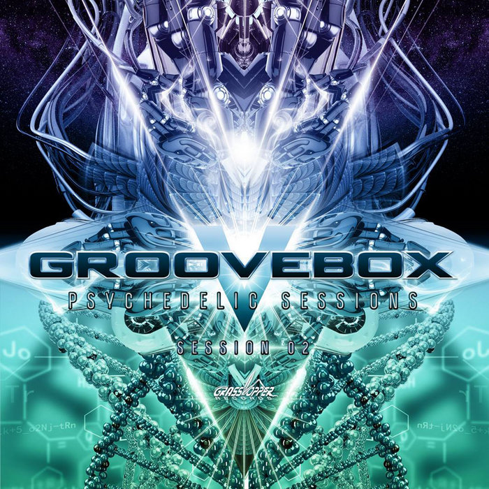 Groove box Psychedelic Sessions 02 Records