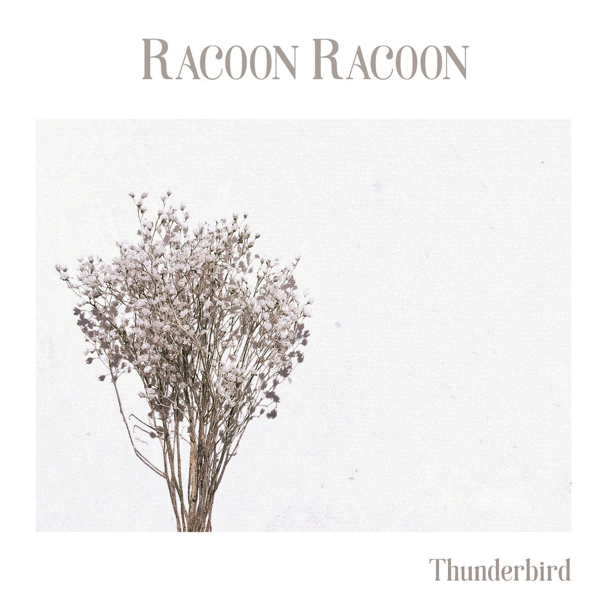 Discography - Racoon Racoon | Racoon Racoon
