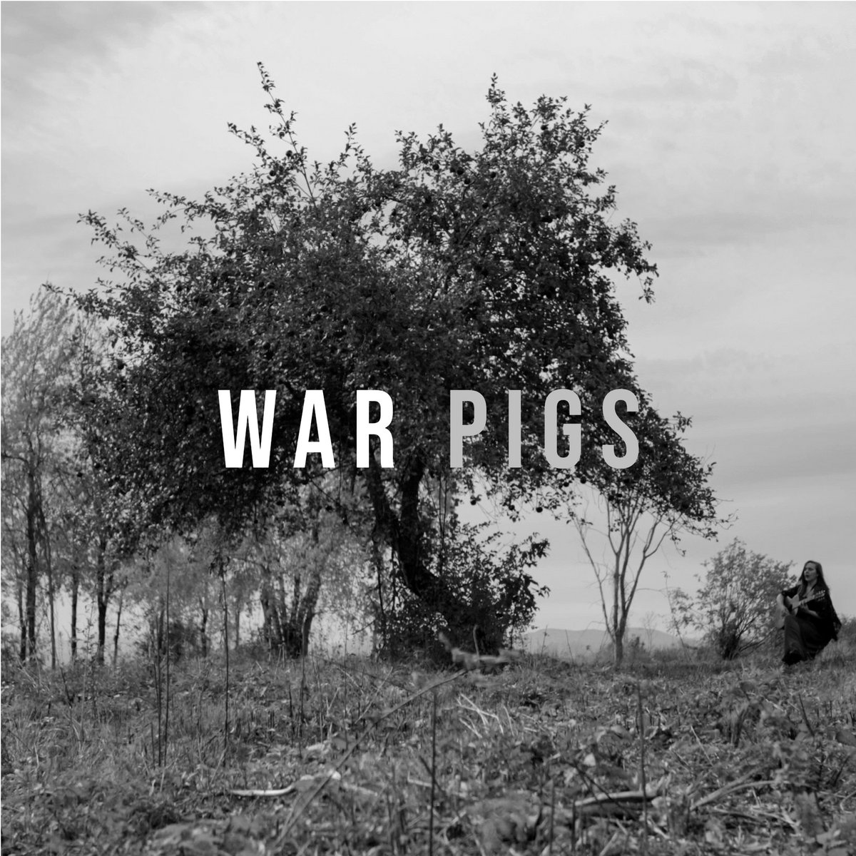War Pigs — About the Muse