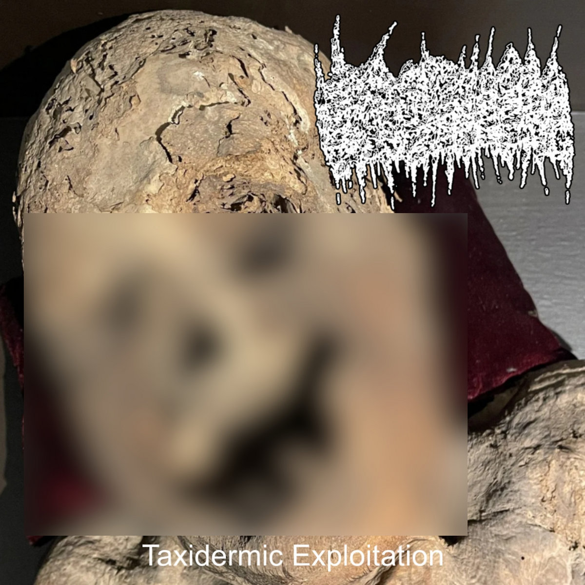 Taxidermic Exploitation cover