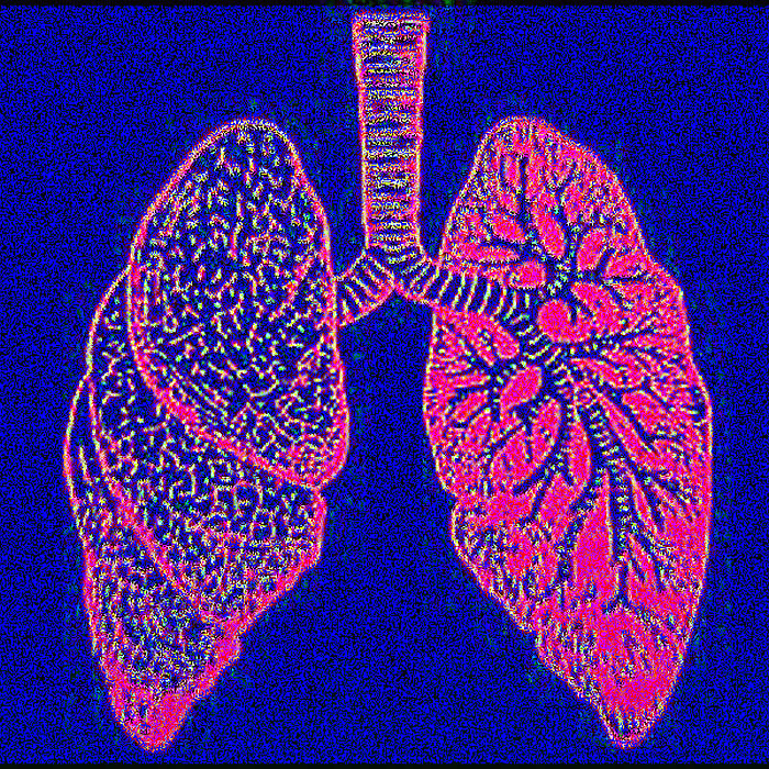 The Art Of Breathing The National Cynical Network - 