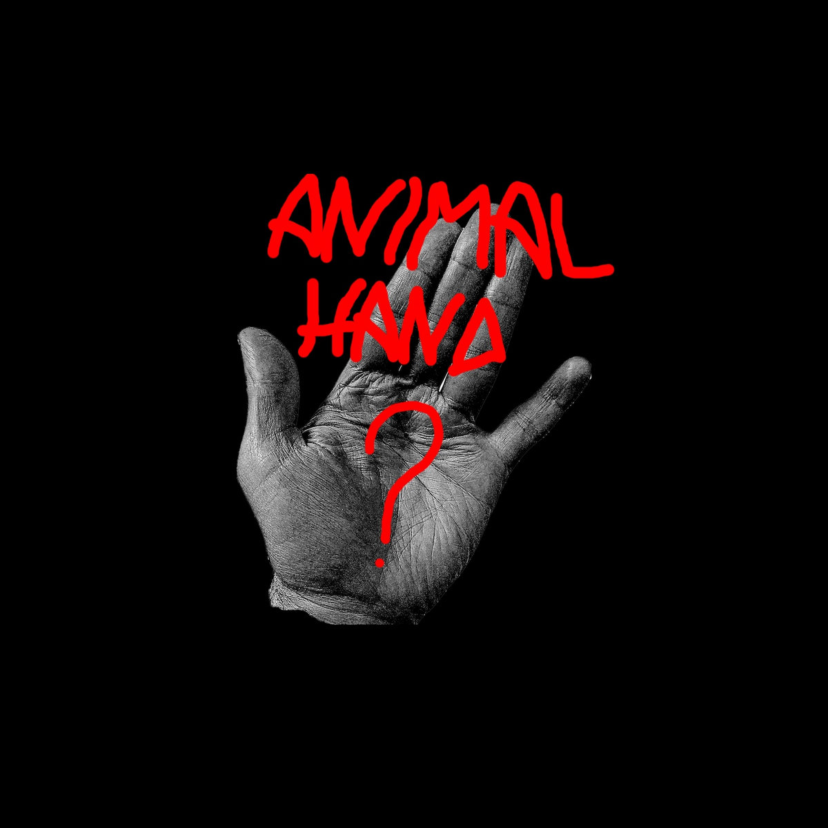 Animal Hand | Animal Hand