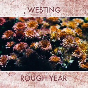 Rough Year cover