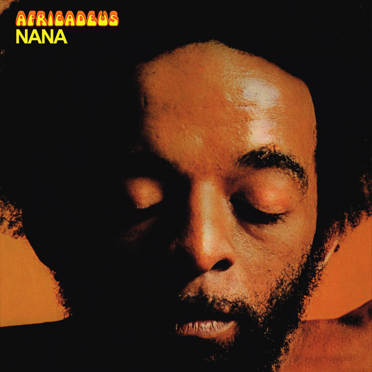 独LP Nan? Vasconcelos Africadeus ALT024 Altercat Records /00400 Africadeus | Naná Vasconcelos | Altercat