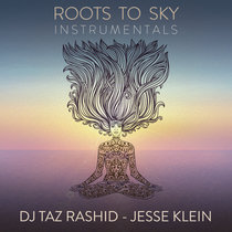 Roots to Sky (Instrumentals) cover art