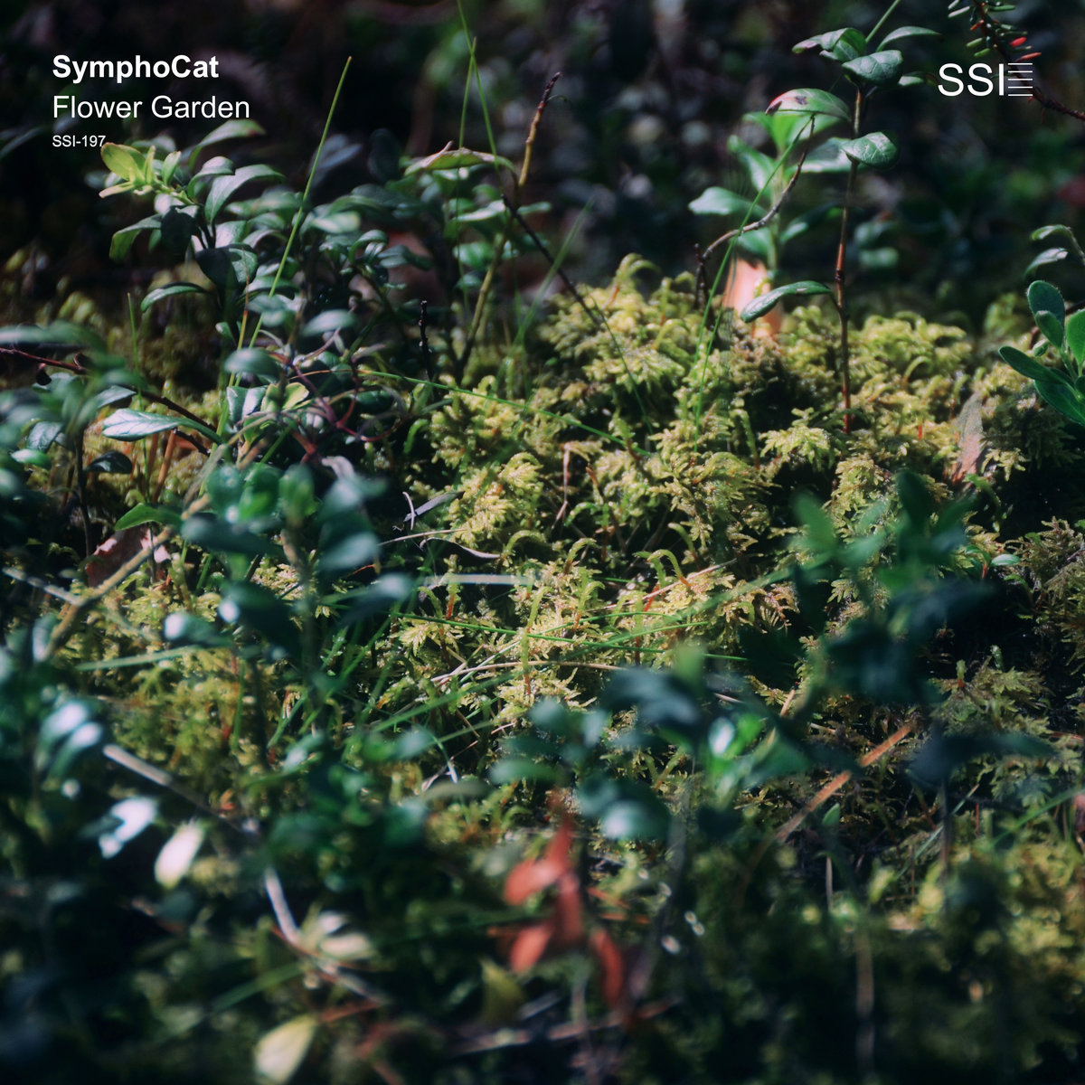 Flower Garden (album) | SymphoCat