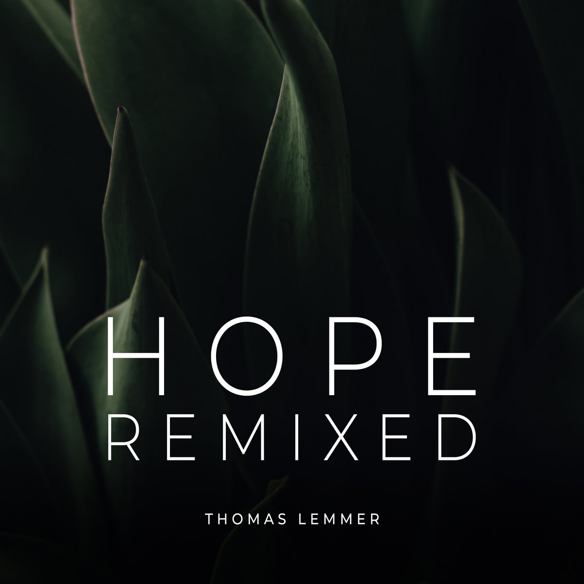 Hope Remixed Thomas Lemmer Sinemusic