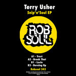 Terry Usher - Snip'n'Soul EP