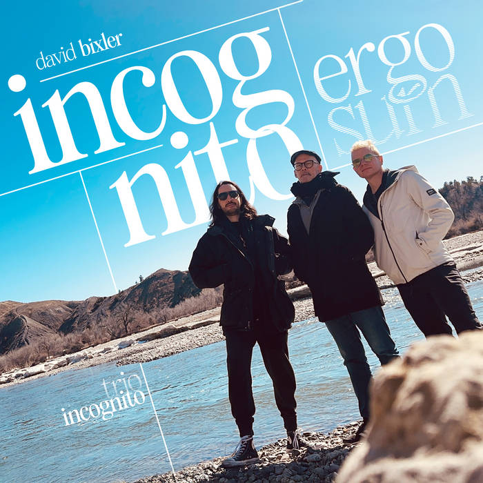 incognito ergo sum von David Bixler incognito ergo sum von David Bixler