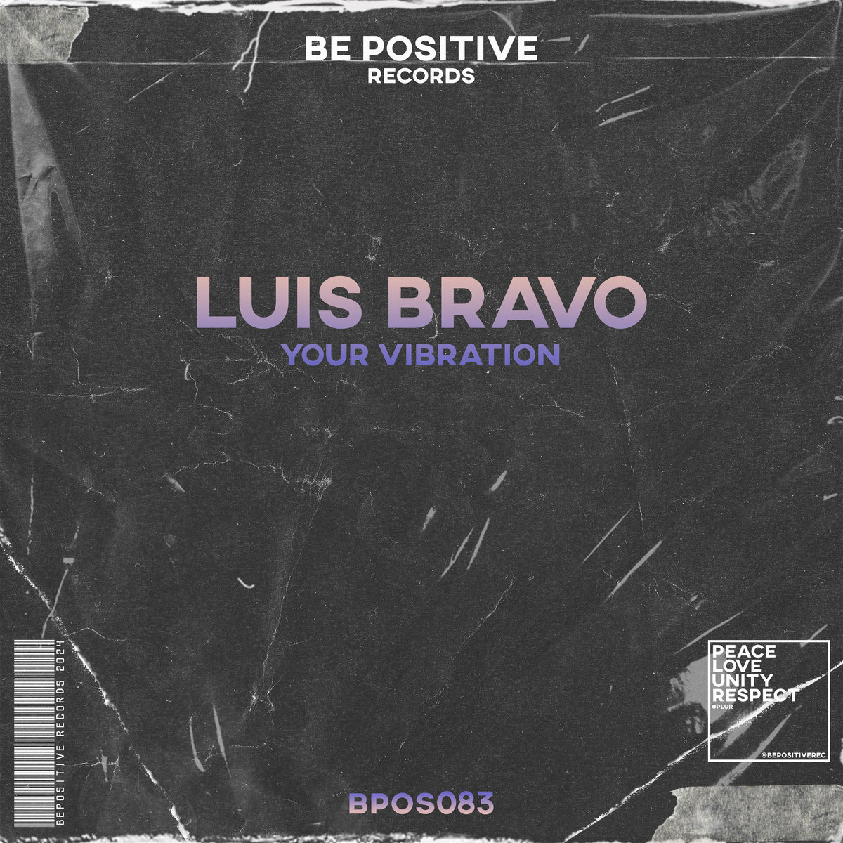 Luis Bravo - Your Vibration