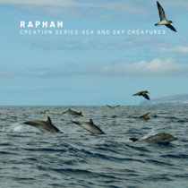Creation Series: Sea and Sky Creatures cover art