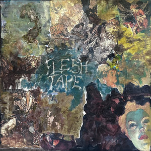 Flesh Tape cover