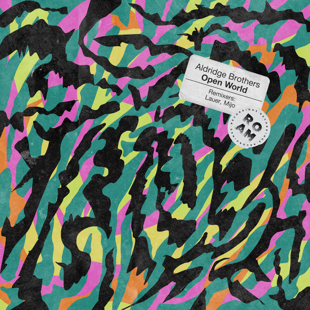 Open World Aldridge Brothers Roam Recordings