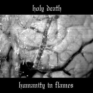 Humanity In Flames (demo) cover