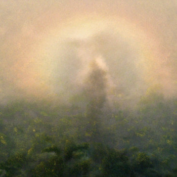 Fog Hills Compilation Album Vol​.​00 Fog Hills Compilation Album Vol​.​00