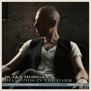 Diamonds In The Dark cover