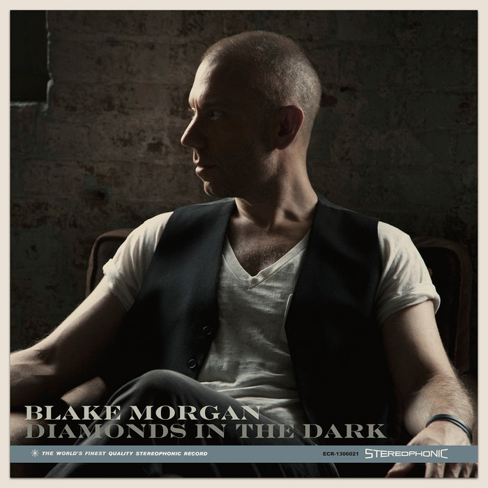 Diamonds In The Dark | Blake Morgan