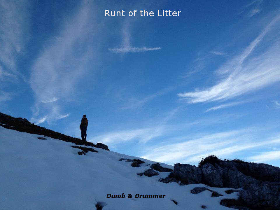 Runt of the Litter cover