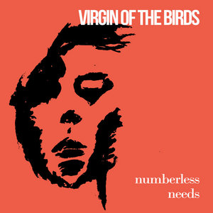 Numberless Needs cover