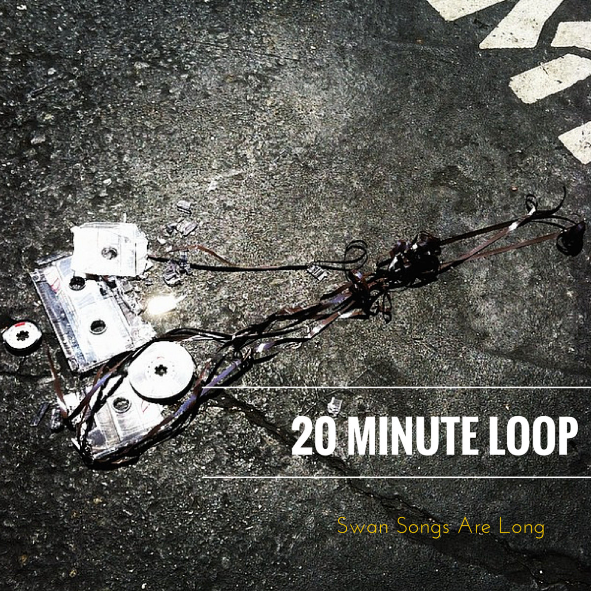 Swan Songs Are Long | 20 Minute Loop