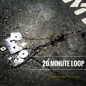 20 Minute Loop — Swan Songs Are Long