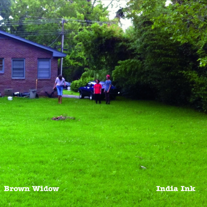 India Ink Brown Widow