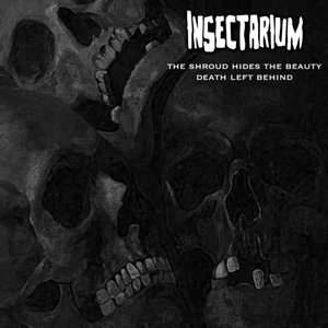 the shroud hides the beauty death left behind cover