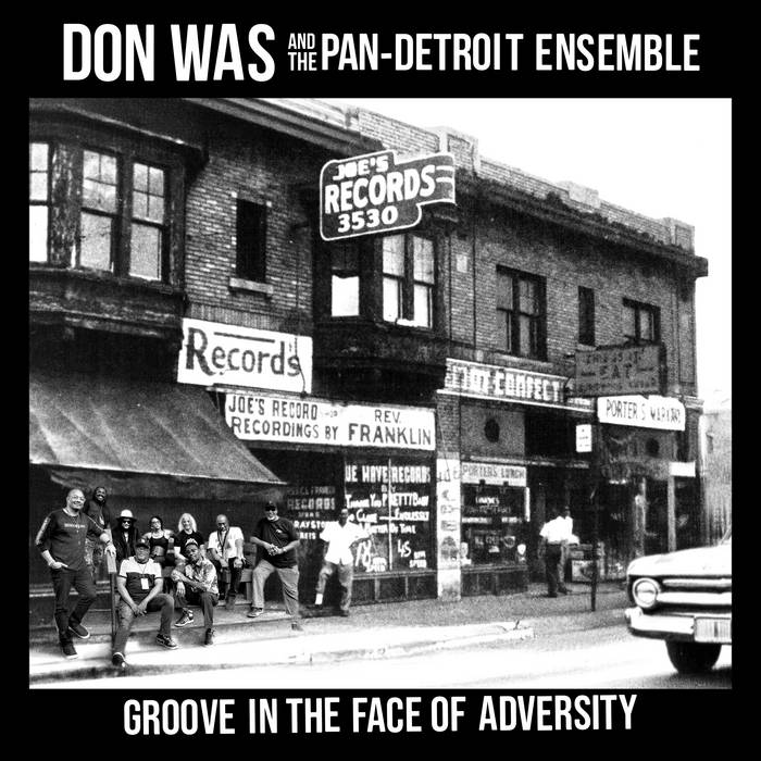Groove In The Face Of Adversity
by Don Was