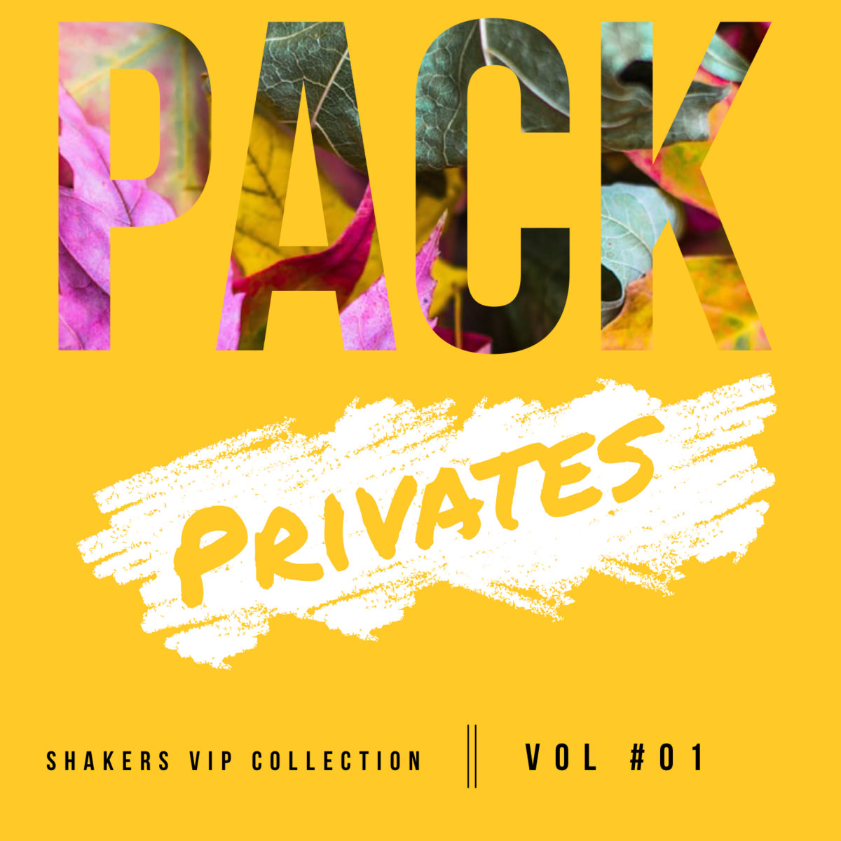 Dj Breno Barreto Mr W Ceevox Quick Fix Shakers Reconstruction Pvt Shakers music shakers bandcamp