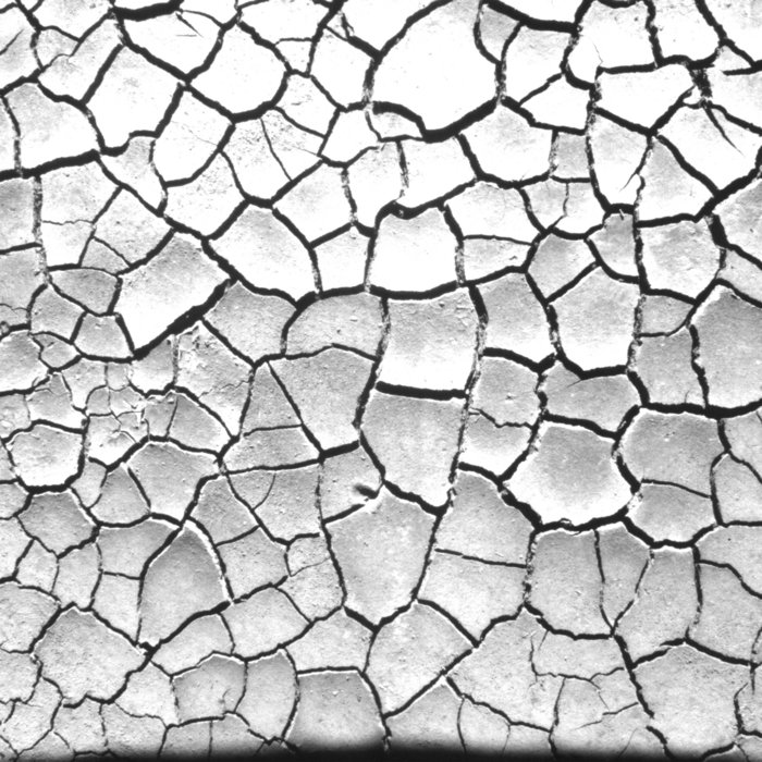 crack — Photo