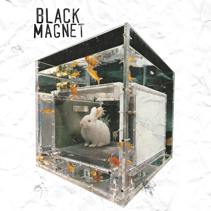 Black Magnet — Photo