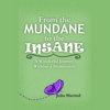 From The Mundane To The Insane: A Wonderful Journey Without A Destination / Audiobook + PDF Cover Art